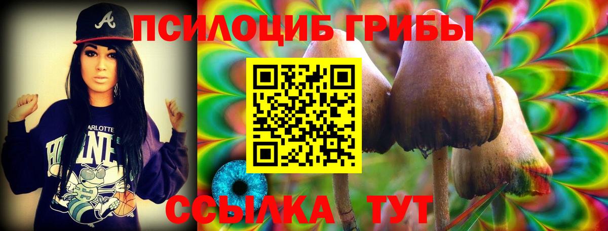 Галлюциногенные грибы Cubensis  Псилоцибиновые грибы GOLDEN TEACHER  Вход с VPN  Березники 